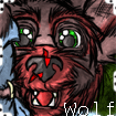 Wolf's Avatar