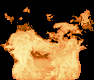 Lucid Faia's Avatar